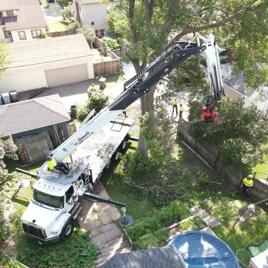 A Tree Service crane and crew on a larger, higher-cost tree job