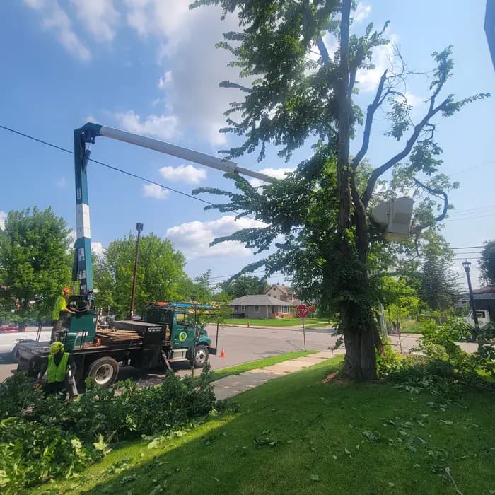 An A Tree Service bucket truck working on a tree in the Twin Cities